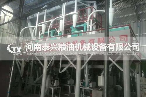 福安磨小麥面生產(chǎn)線配置清單與專業(yè)設計服務方案